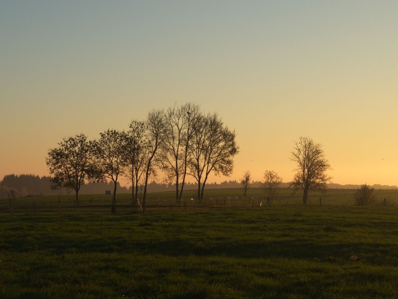 Peaceful rural landscape featuring trees and a fence under a golden sunset sky.